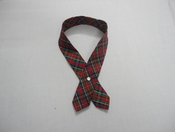 Dav Girls School Tie